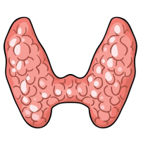 جراحات الغدة الدرقية